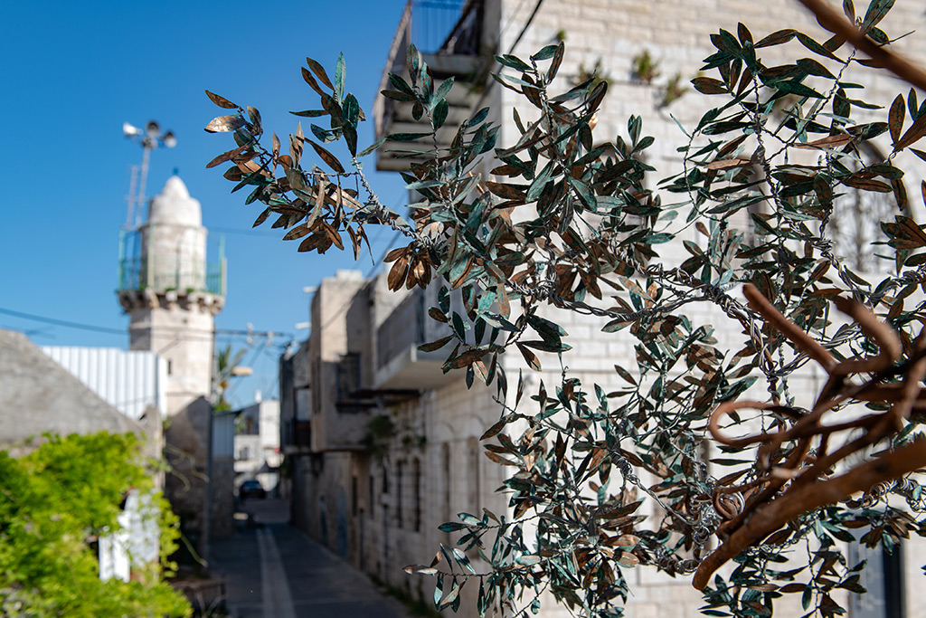 Der Baum wächst – im Freiluft-Atelier von Nihad Dabeet auf der Straße in Ramle.