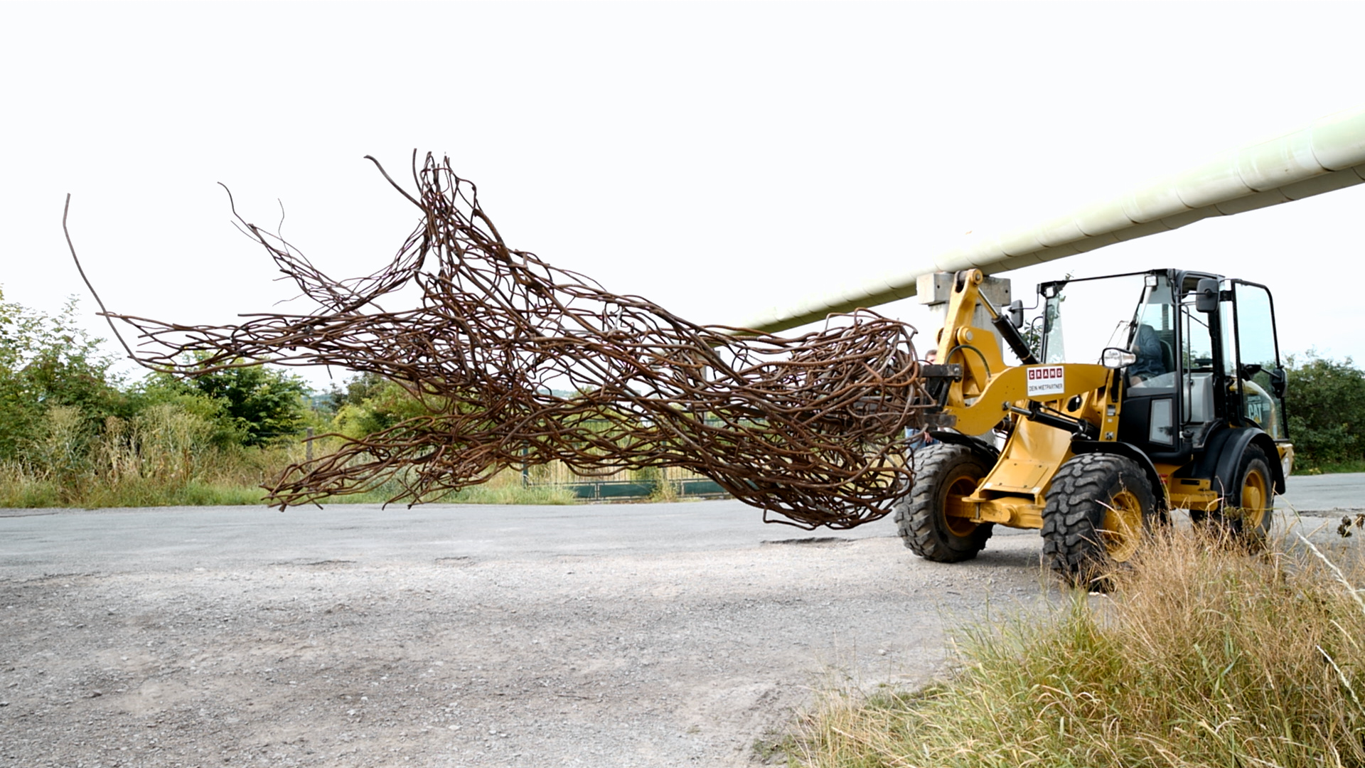 Der Baum kommt an.