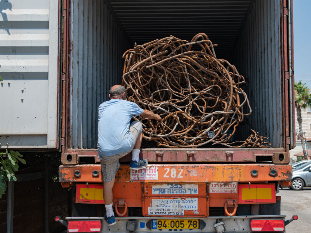Der Paradiesbaum wird in Israel in einen Schiffscontainer verladen. (© Ilan Nachum)