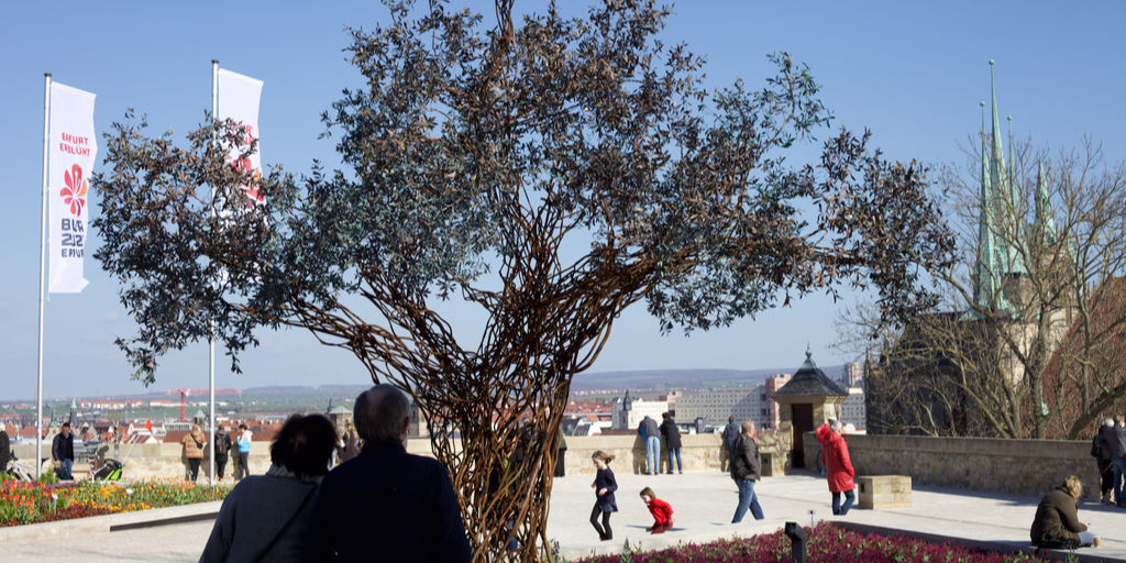Der Paradiesbaum auf dem Erfurter Petersberg