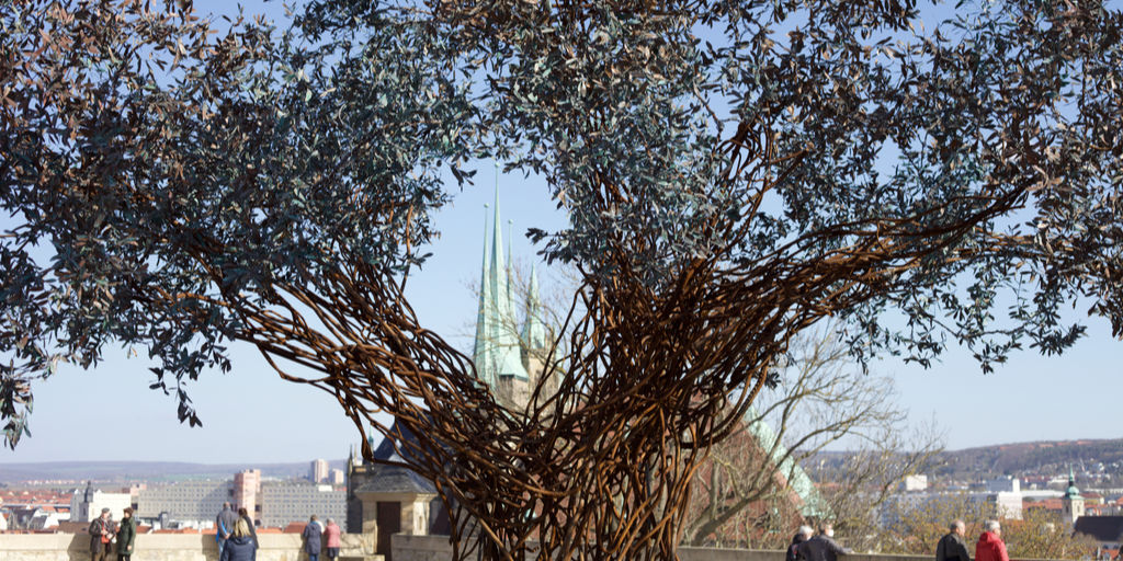 Der Paradiesbaum auf dem Erfurter Petersberg