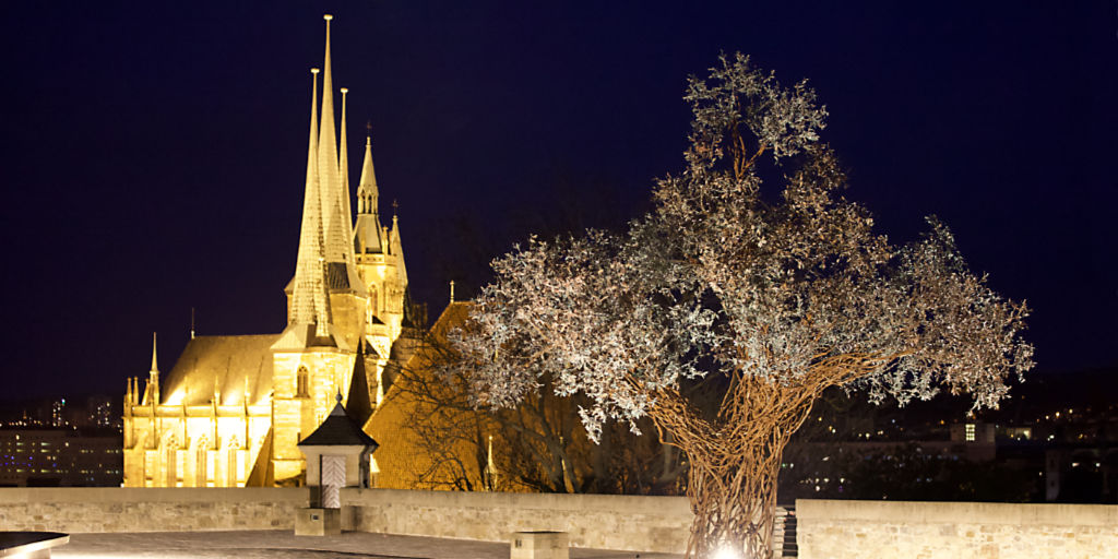 Der Paradiesbaum auf dem Erfurter Petersberg